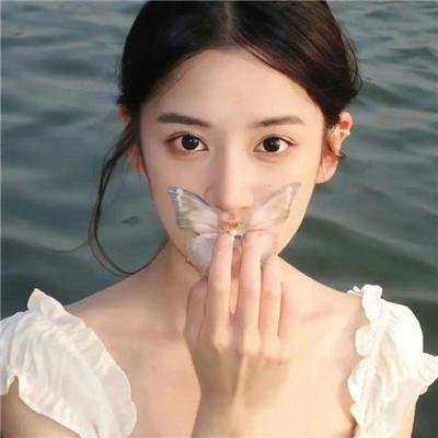 滨虎第二季